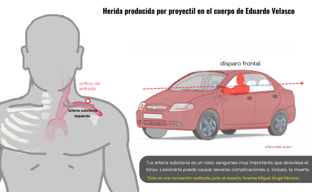 Infografía Axpel.